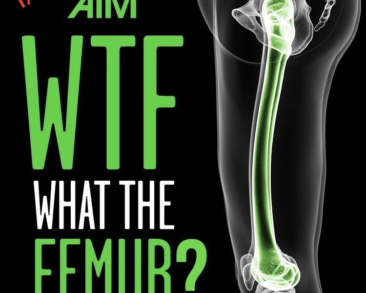 What the Femur | Finding Centre