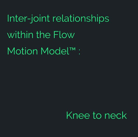 Inter-joint relationship | Finding Centre