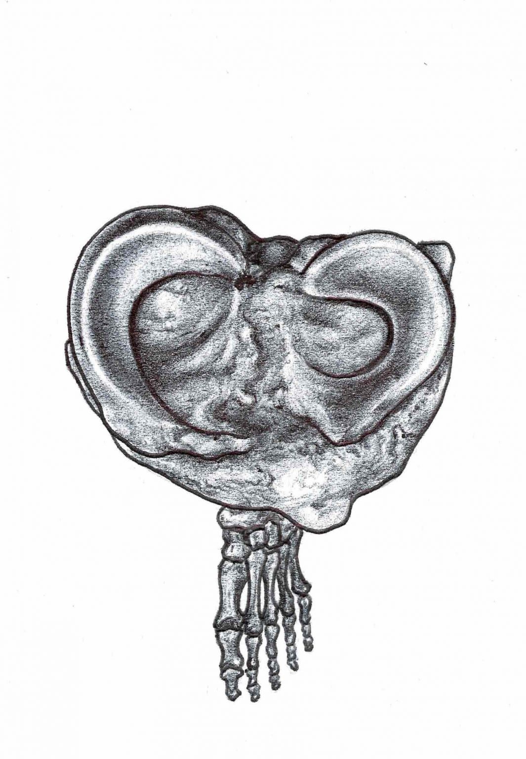 What is the Flow Motion Model? Finding Centre