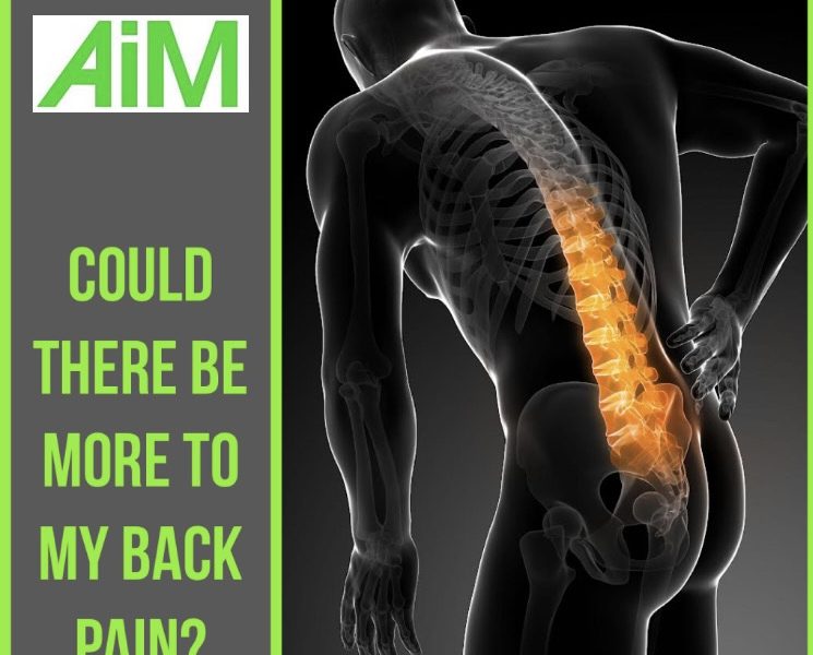 Back pain article