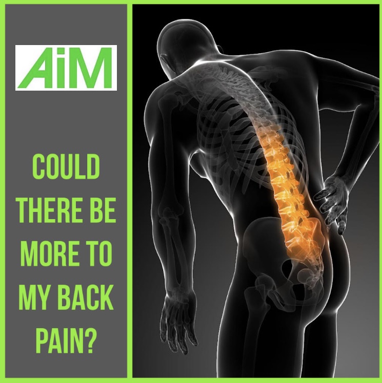 Back pain article