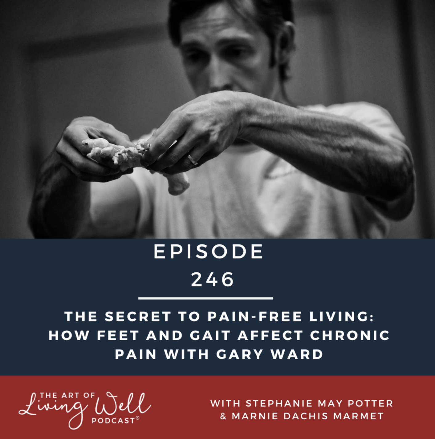 The Art of Living Well Podcast — E246: The Secret to Pain-Free Living — How Feet and Gait Affect Chronic Pain