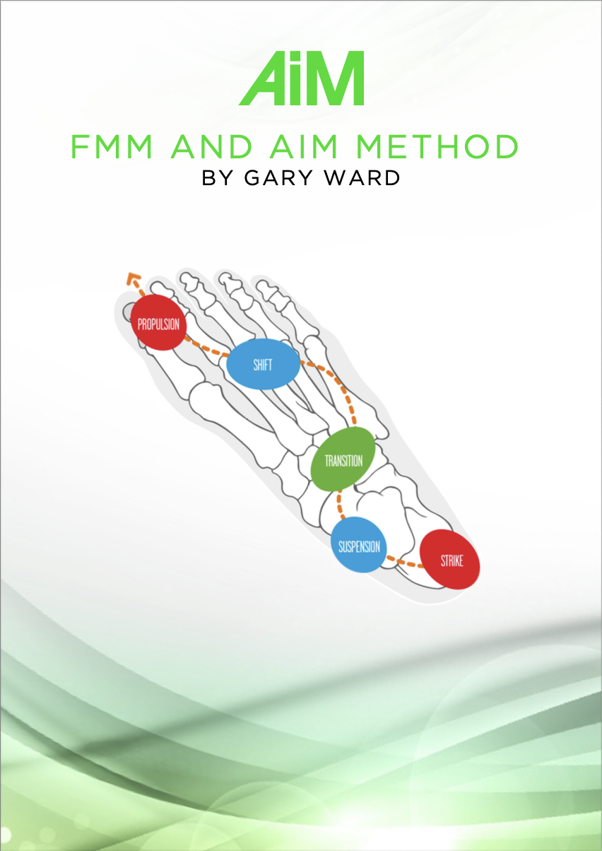 The FMM & AiM Method Ebook Cover